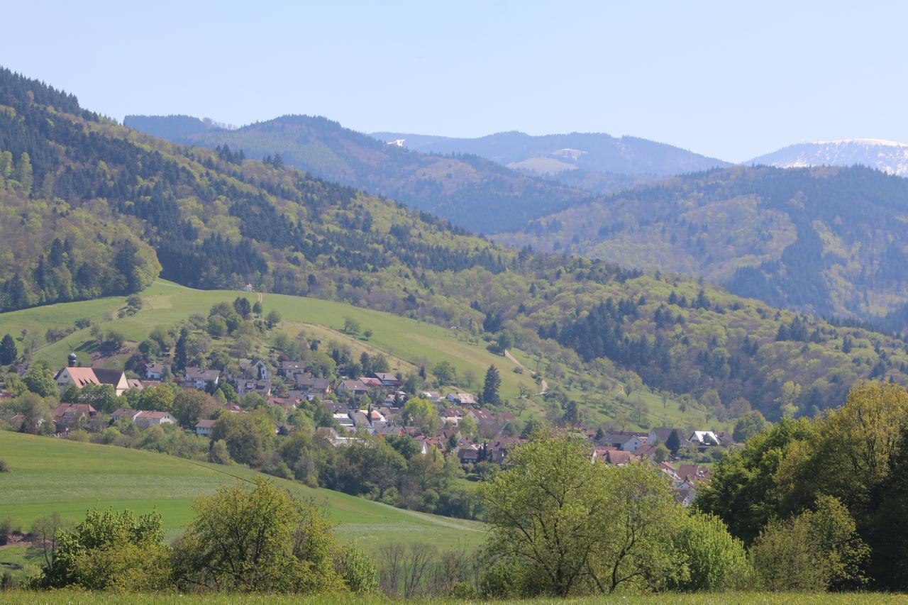 Luxus Appartement Schwarzwald Bei Freiburg 4 Schlafzimmer Sauna Solden Экстерьер фото